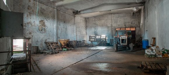 Lagerhaus in Cadaval, Portugal 4247m², Nr. 70619 24