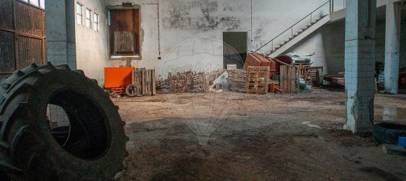 Lagerhaus in Cadaval, Portugal 4247m², Nr. 70619 30