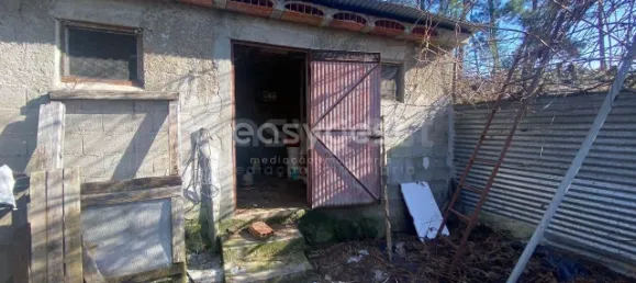  قطعة أرض في Viseu, Portugal رقم 68571 14