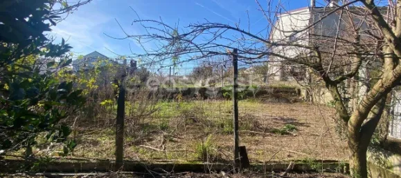  قطعة أرض في Viseu, Portugal رقم 68571 11