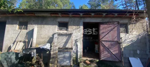  قطعة أرض في Viseu, Portugal رقم 68571 16