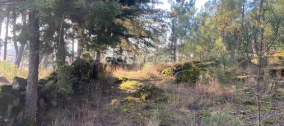  قطعة أرض في Viseu, Portugal رقم 68571 27