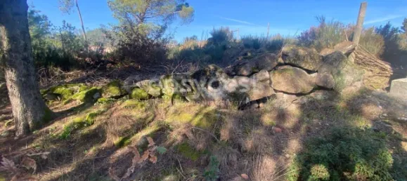  قطعة أرض في Viseu, Portugal رقم 68571 28