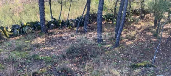  قطعة أرض في Viseu, Portugal رقم 68571 24