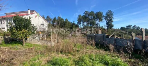  قطعة أرض في Viseu, Portugal رقم 68571 3