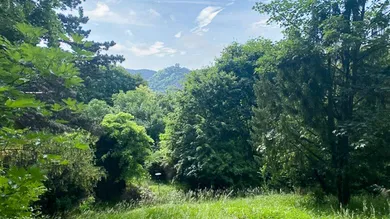  قطعة أرض في Hinterbruhl, Austria رقم 31801