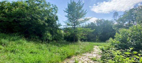  قطعة أرض في Hinterbruhl, Austria رقم 31801 3