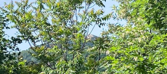  قطعة أرض في Hinterbruhl, Austria رقم 31801 7