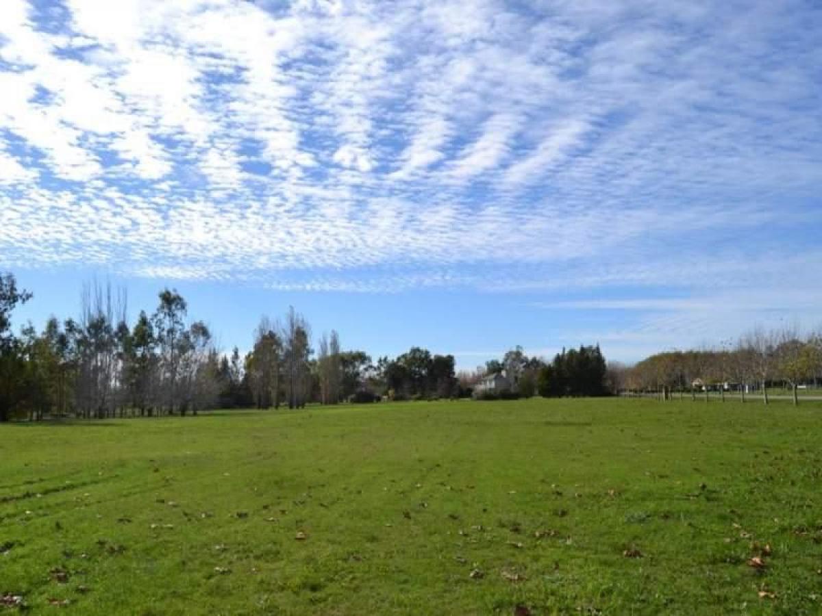  قطعة أرض في Campo Creado, Argentina رقم 39468