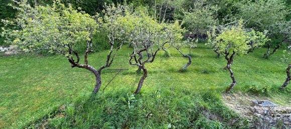 3 bedrooms House in Bruere-Allichamps, France No. 237539 16