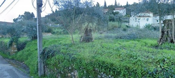 قطعة أرض في Anadia, Portugal 2000متر مربع رقم 36529 6