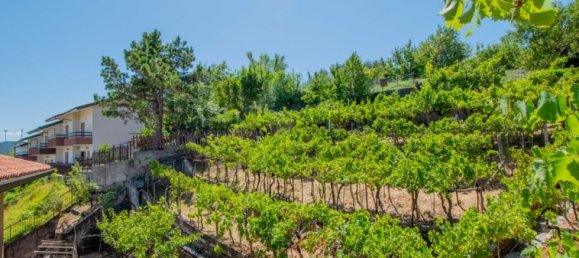 3 bedrooms Apartment in Trieste, Italy No. 310480 26