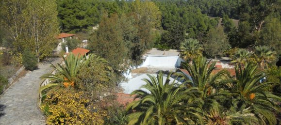 5700m² Townhouse in Chalkidiki, Greece No. 7567 3