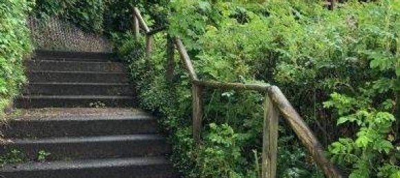 5-salle Maison de ville à Schleswig-Flensburg, Germany No. 245344 13