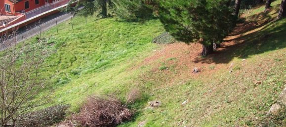 8 rooms Villa in Dicomano, Italy No. 206044 5