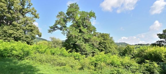 Grundstück in Döbling, Austria 3120m², Nr. 255576 4