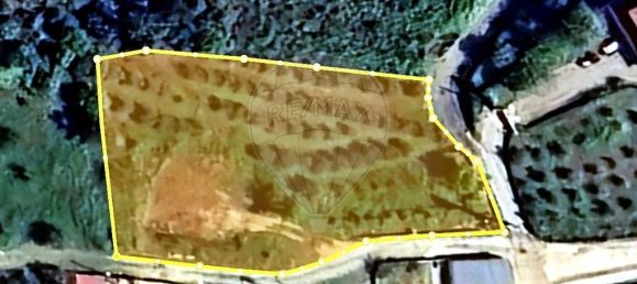 Grundstück in Vila Real, Portugal, Nr. 190288 4