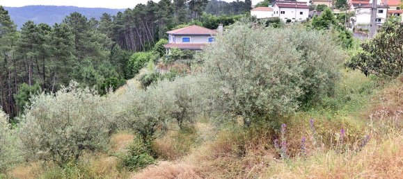 Grundstück in Vila Real, Portugal, Nr. 190288 3