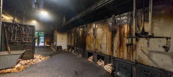 Imóvel comercial T4 em Ammerland, Germany N.º 177718 25