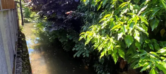 4 bedrooms House in Sens, France No. 321725 16