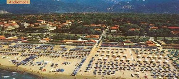 2 rooms Villa in Forte dei Marmi, Italy No. 309979 24