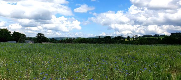 Terreno en Vogtlandkreis, Germany No. 31317 4