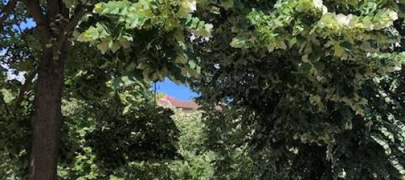 3 bedrooms Duplex in Kreuzberg, Germany No. 278662 9