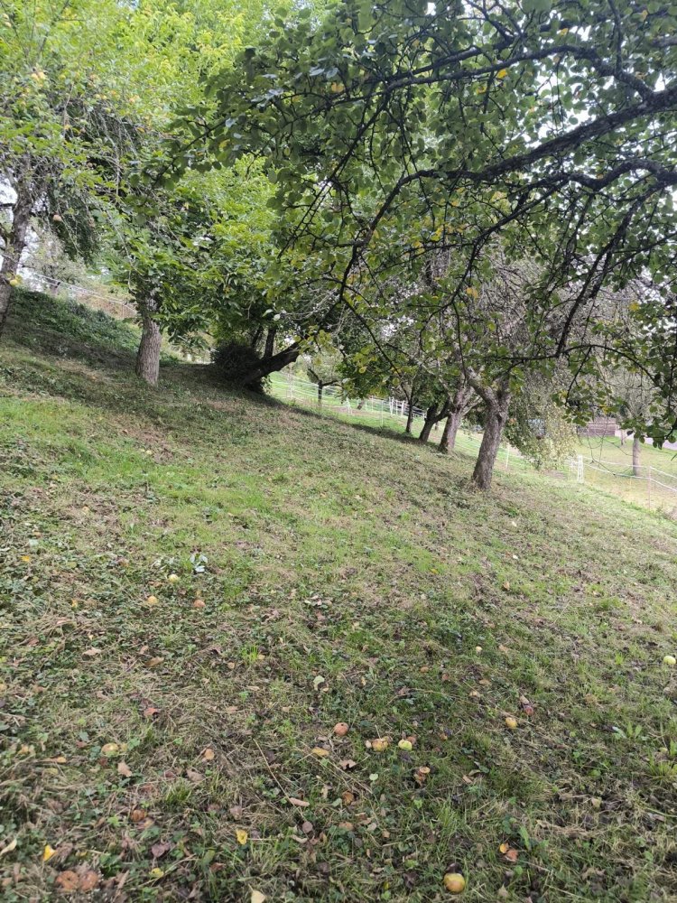 Terreno em Esslingen, Germany N.º 294272