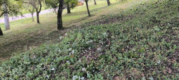 Terreno em Esslingen, Germany N.º 294272 3