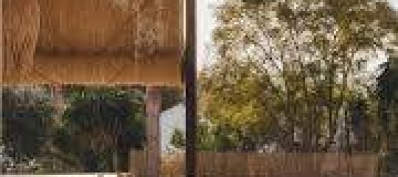 5 bedrooms Apartment in Bisignano, Italy No. 283125 22