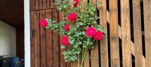 Дом с 6 комнатами в Лехашау, Австрия № 223785 21