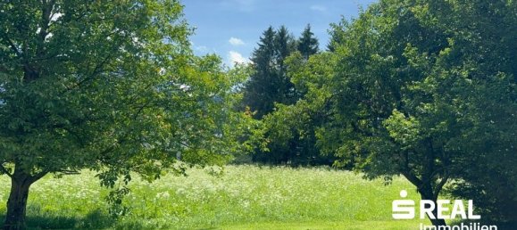 Дом с 6 комнатами в Лехашау, Австрия № 223785 22