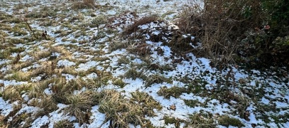 Terreno em Hochtaunuskreis, Germany N.º 82540 11