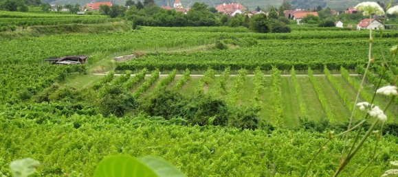 Grundstück in Krems an der Donau, Austria, Nr. 17237 4