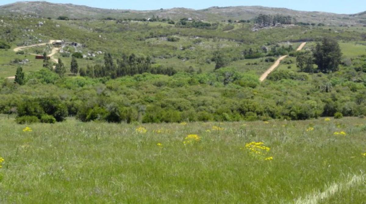 120m² Farm in Mendoza, Argentina No. 38544