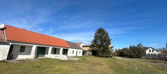 3-Zimmer Haus in Gaweinstal, Austria, Nr. 126486 3