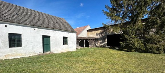 3-Zimmer Haus in Gaweinstal, Austria, Nr. 126486 6