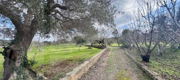 8غرفة منزل في Ceglie Messapica, Italy رقم 21811 14