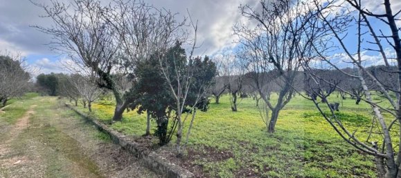 8غرفة منزل في Ceglie Messapica, Italy رقم 21811 15