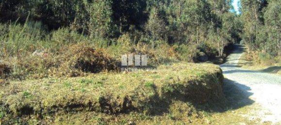 Grundstück in Soalhaes, Portugal 14504m², Nr. 46091 5