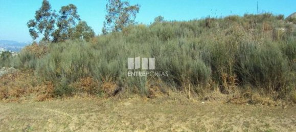 Grundstück in Soalhaes, Portugal 14504m², Nr. 46091 2