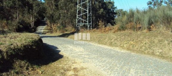 Grundstück in Soalhaes, Portugal 14504m², Nr. 46091 3