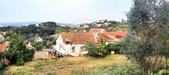 5 غرف نوم منزل في Coimbra, Portugal رقم 24425 19