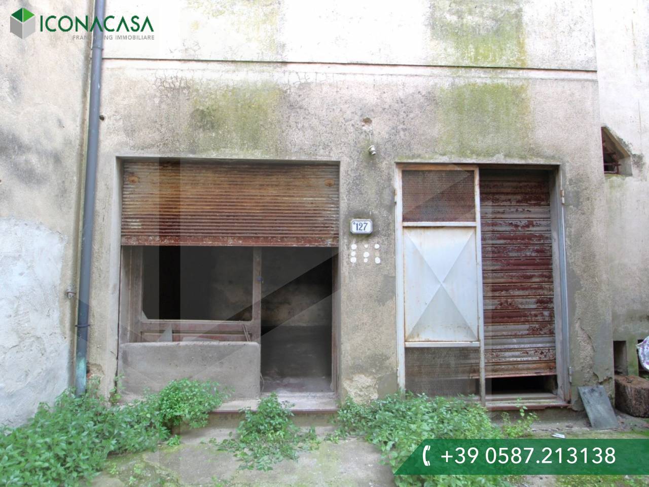 2 rooms Commercial property in Buti, Italy No. 23485