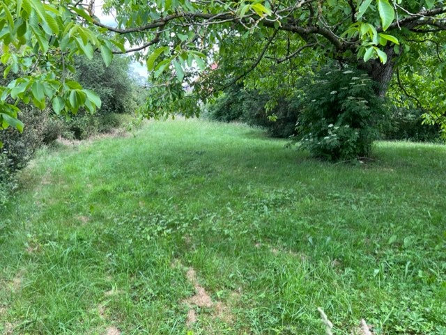 Terreno en Sessenheim, France No. 79271