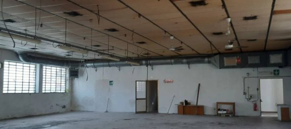 220m² Warehouse in Monsummano Terme, Italy No. 357348 6