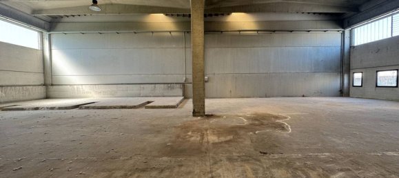 Lagerhaus in Carbonara Scrivia, Italy 712m², Nr. 284290 6