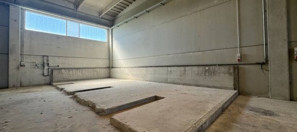 Lagerhaus in Carbonara Scrivia, Italy 712m², Nr. 284290 5