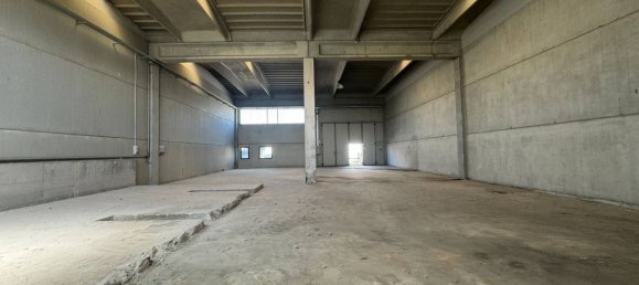 Lagerhaus in Carbonara Scrivia, Italy 712m², Nr. 284290 8