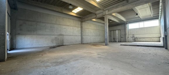 Lagerhaus in Carbonara Scrivia, Italy 712m², Nr. 284290 3